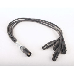 TetraCord M4F50 - Female